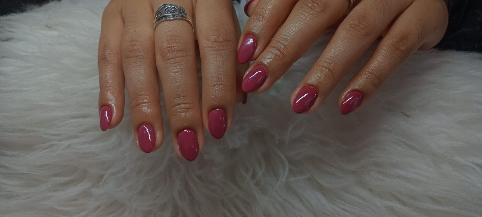 Rosa viejo alto brillo