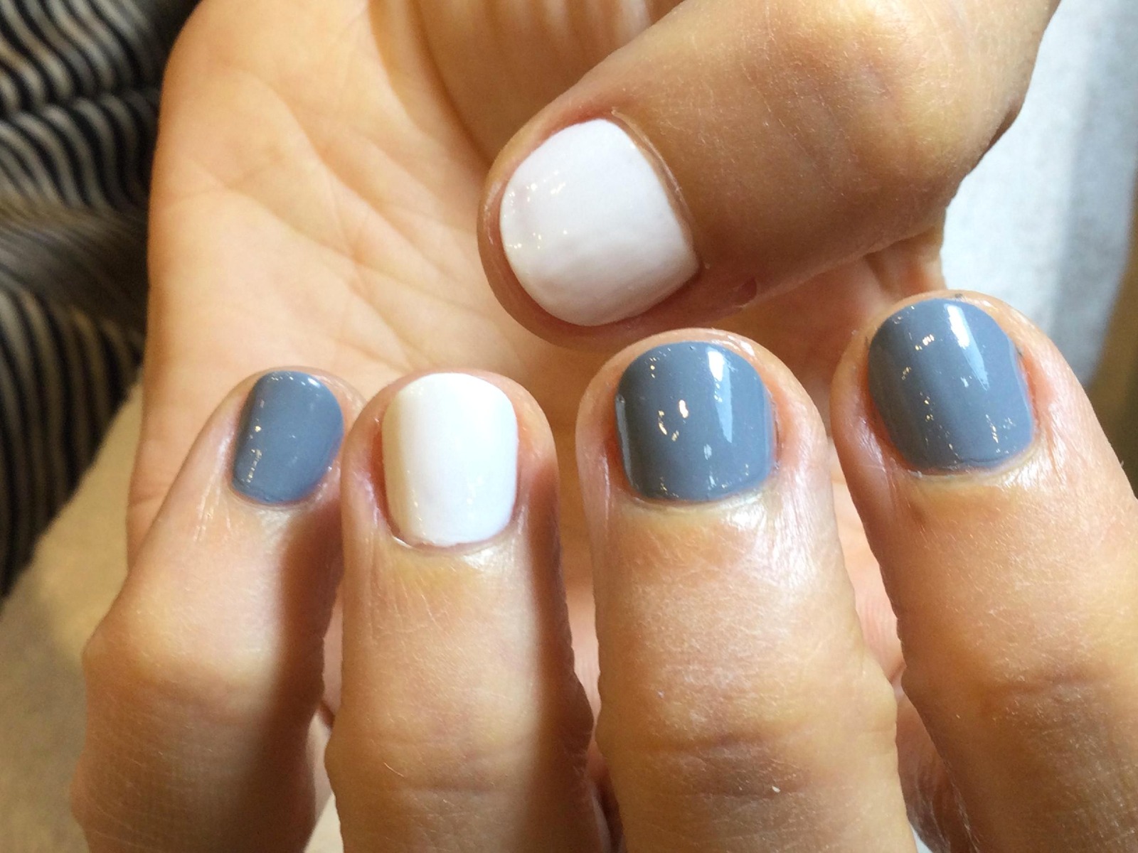 Bicolor gris y blanco